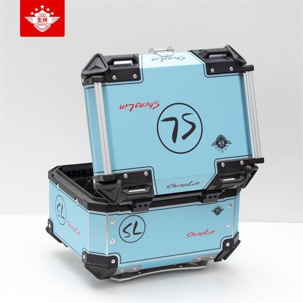 Scooter Universal Storage Trunk